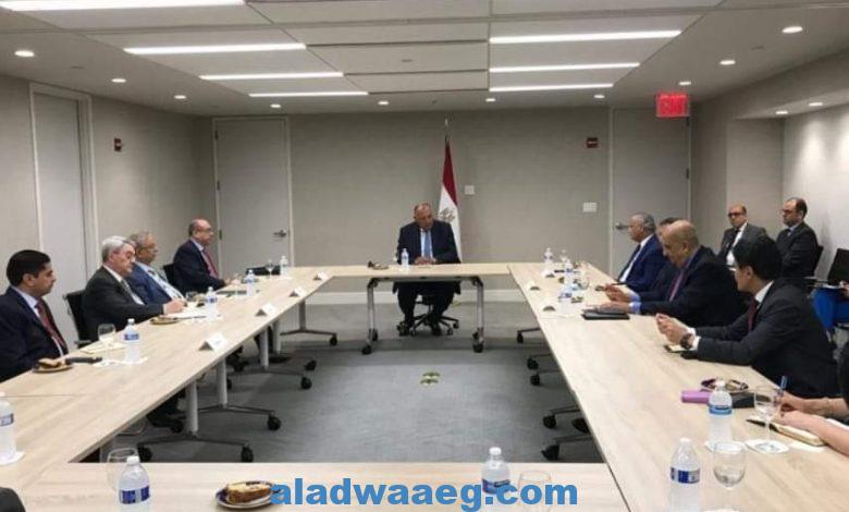 وزير الخارجية يلتقى اللجنة العربية المعنية بمتابعة ملف سد النهضة الإثيوبى