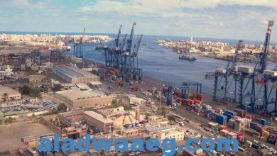 صورة تصدير4850طن ملح إلى إيطاليا عبر ميناءالعريش