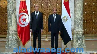صورة الرئيس السيسي وبن سعيد ونهاية التنظيم الدولي للإخوان