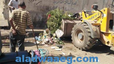 صورة حملة رفع قمامة ومخلفات بالوحده المحليه بمحلة مرحوم