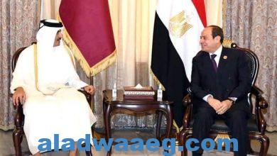 صورة مصر و قطر تتفقان على أهمية مواصلة التشاور والعمل من أجل دفع العلاقات خلال المرحلة المقبلة،،