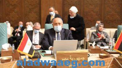 صورة كلمة وزير الخارجية أمام الدورة العادية 156 لمجلس جامعة الدول العربية،،،