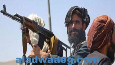 صورة طالبان” تقتل شقيق أمر الله صالح في ولاية بانشير الأفغانية،،