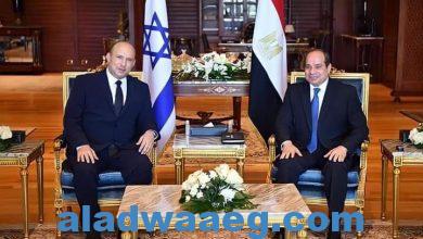 صورة السيسى يؤكد على دعم مصر لكافة جهود تحقيق السلام الشامل بالشرق الأوسط