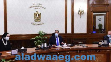 صورة رئيس الوزراء يستعرض مقترحا لإنشاء مركز لتصنيع السيارات شرق بورسعيد…