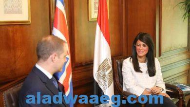 صورة وزيرة التعاون الدولي تلتقي السفير الجديد للمملكة المتحدة بالقاهرة لبحث العلاقات الاقتصادية المشتركة….