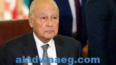 صورة أبو الغيط يبحث مع رئيس المجلس الاقتصادي الجزائري سبل تعزيز الاستثمارات البينية في الدول العربية