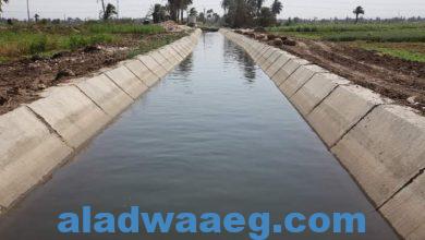 صورة ازالة ٥٦٠٠ حالة تعدى خلال الحملات الموسعة لإزالة التعديات علي نهر النيل والمجارى المائية.