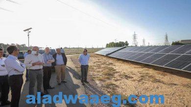 صورة التنفيذي لـ“المراعي” يفتتح محطة الطاقة الشمسية الجديدة ل”بيتي” على مساحة 20 فدان..