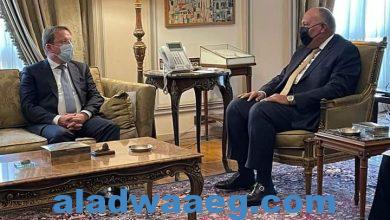 صورة وزير الخارجية سامح شكري يستقبل المفوض الأوروبي للجوار والتوسع.