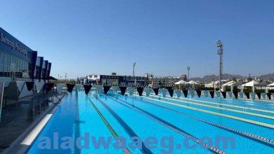 صورة المدينة الشبابية بشرم الشيخ تستعد لإستضافة بطولة كأس العالم للاندية لسباحة الزعانف.
