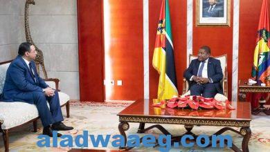 صورة الرئيس الموزمبيقي يستقبل السفير المصري في مابوتو للتوديع