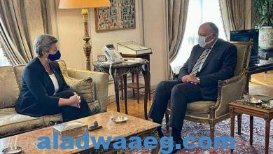 صورة وزير الخارجية سامح شكري يستقبل المفوضة الأوروبية للشئون الداخلية.
