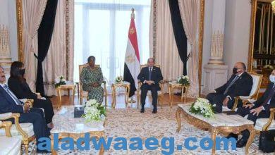صورة الرئيس عبد الفتاح السيسي يلتقي سكرتير عام منظمة الكوميسا..