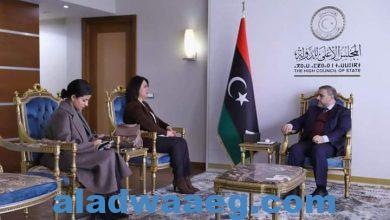 صورة وزيرة الخارجية تلتقي رئيس المجلس الأعلى للدولة لبحث المستجدات السياسية 