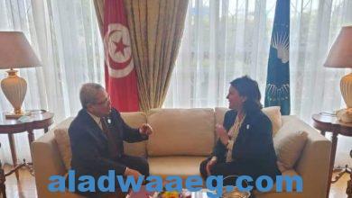 صورة وزيرة الخارجية الليبية تلتقي وزير خارجية تونس في أديس أبابا. 