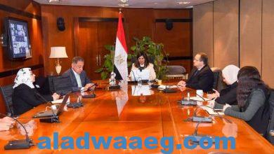 صورة وزيرة الهجرة تلتقي عددًا من رواد الأعمال المصريين بالخارج والأفارقة لتبادل الخبرات والاستفادة من الأفكار المختلفة