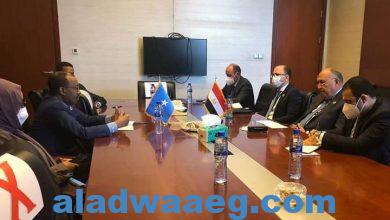 صورة وزير الخارجية يلتقي نظيره الصومالي  على هامش المشاركة في اجتماعات قمة الاتحاد الإفريقي