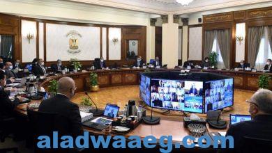 صورة اجتماع مجلس الوزراء رقم ( 180)  برئاسة الدكتور مصطفى مدبولي.