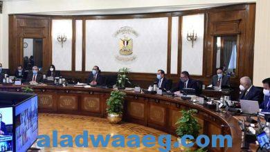 صورة القرارات  وافق مجلس الوزراء على مشروع قانون بإصدار قانون تنظيم الحج وإنشاء البوابة المصرية الموحدة للحج.