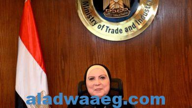 صورة وزيرة التجارة والصناعة تصدر قراراً باعادة تشكيل الجانب المصري في مجلس الأعمال المصري الجزائري برئاسة أحمد السويدي لمدة ثلاث سنوات.