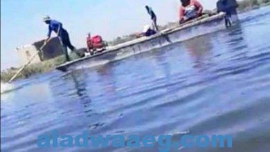 صورة صيادون بحيرة المنزلة يستغيثون بوزير الداخلية بسبب صعق الاسماك بالكهرباء يدمر الثروة السمكية بدمياط 