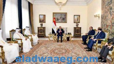 صورة بحضور رئيس جهاز المخابرات العامة الرئيس السيسى يستقبل وزير خارجية قطر