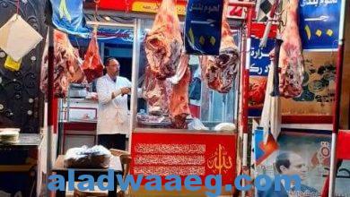 صورة الوفد مع الناس مبادرة إيجابية لمواجهه جشع التجار ومنافذ لتوزيع اللحوم البلدي بسعر ١٠٠جنية