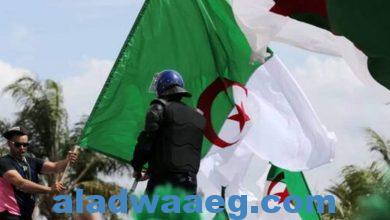 صورة الجزائر تتحدث عن تعرض قوافل تجارية لقصف مغربي على الحدود الجزائرية الموريتانية