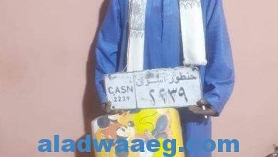 صورة محافظ أسوان يوجه بمصادرة عربة حنطور وسحب رخصتها بواسطة شرطة المرافق 