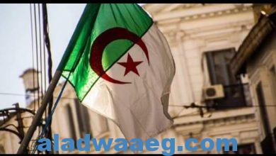 صورة جمعية في فرنسا تستغل قضية جنى الجزائرية لجمع التبرعات