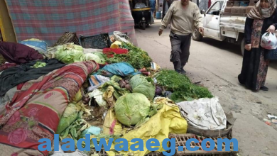 صورة فض سوق عشوائي و التحفظ على ٣٤٥ حالة إشغال فى حملات مكبرة في فارسكور 