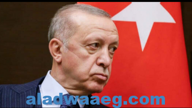 صورة أنقرة: أردوغان أكد لغوتيريش استعداد تركيا لدعم الجهود الإنسانية في أوكرانيا