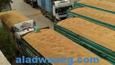 صورة وزير التموين … فتح جميع مواقع استلام الأقماح المحلية للعمل بشكل منتظم لاستقبال القمح من الموردين والمزارعين