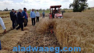 صورة الزراعة في ثالث أيام عيد الفطر المبارك تتابع حصاد وتوريد القمح في كل المحافظات على مستوى الجمهورية