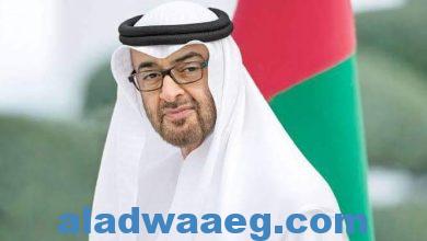 صورة رئيس جامعة القاهرة يهنئ الشيخ محمد بن زايد لاختياره رئيسًا لدولة الإمارات