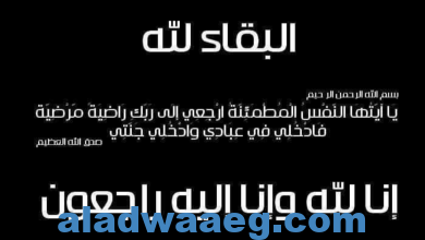 صورة جامعة حلوان تنعي شهداء القوات المسلحة وتعلن دعمها الكامل لمؤسسات الدولة ضد الإرهاب