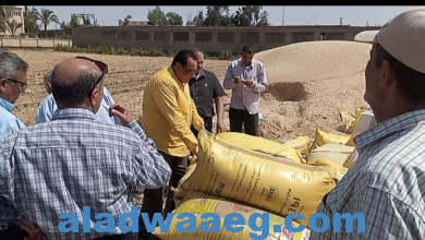 صورة وكيل وزارة الزراعة يتابع توريد القمح للشون والصوامع بدمياط 
