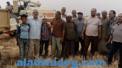 صورة مدير البحوث الإقليمية بالفيوم يشارك فرحة العاملين بمحطة البحوث الزراعية بطامية حصاد القمح