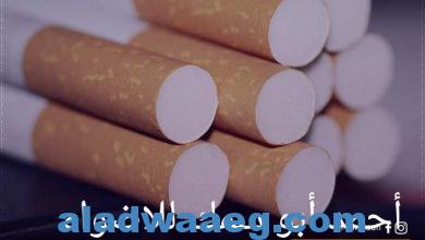 صورة أعلنت شركة بريتش أمريكان توباكو للدخان والسجائر وقف نشاطها واستثمارتها في السوق المصري ويعمل هذا القرار بداية من يوم الخميس المقبل .