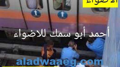 صورة المترو: نجاة مواطن ألقى بنفسه أمام قطار بمحطة فيصل.. «السائق توقف»