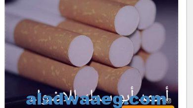 صورة 6 أنواع.. هذه السجائر ستختفي من السوق المصري وهي « دنهل وكينت ولايكي سترايك ورثمان وبال مال  وفايسروي».. إعتبارا من اليوم