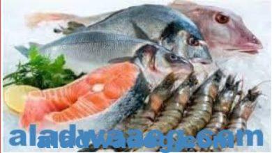صورة جريدة الاضواء تلقي الضوء على استقرار أسعار الأسماك في سوق العبور اليوم 23 يوليو