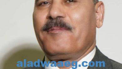 صورة جامعة الفيوم: تعيين الأستاذ الدكتور صالح عبدالعليم محمد معوض، عميدا لكلية العلوم بجامعة الفيوم.