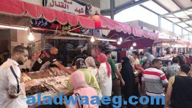 صورة زائرو السوق يشيدون بتوافر الأسماك المتنوعة بأسعار مناسبة ببورسعيد