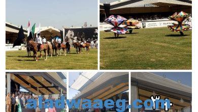 صورة مهرجان الخيول العربية في محافظة الشرقية في دورته ال26