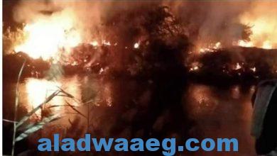 صورة اندلاع حريق في 4 منازل بسوهاج ادي الي إصابة 3 اشخاص