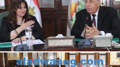 صورة وزيرا الزراعة والهجرة يبحثان محفزات الاستثمار الزراعي للمصريين بالخارج