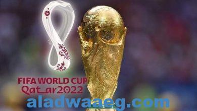 صورة الحكومة المصرية تصدر قرارا بشأن كأس العالم في قطر