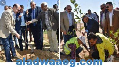 صورة مؤسسة هنجملها: تهدي محافظة أسوان 3 ألاف شجرة مثمرة وتشيد بدعم المحافظ للمبادرة 